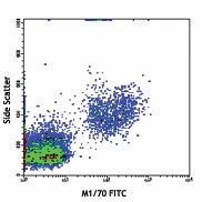 FITC anti-mouse/human CD11b Antibody (101205)