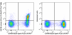PerCP/Fire™ 806 anti-mouse CD196 (CCR6) Antibody (129843)