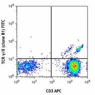 FITC anti-human TCR γ/δ Antibody (331207)