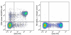 APC anti-human CD56 (NCAM) Antibody (343757)