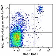 Alexa Fluor® 647 Donkey anti-rabbit IgG (minimal x-reactivity) Antibody (406414)
