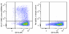 PE anti-mouse CCL17 (TARC) Antibody (167203)