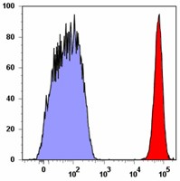 APC anti-human CD15 (SSEA-1) Antibody (323007)