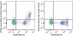 PerCP/Cyanine5.5 anti-mouse CD79b (Igβ) Antibody (132809)