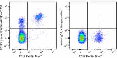 APC/Fire™ 750 anti-human CD185 (CXCR5) Antibody (356945)