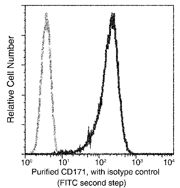 Recombinant CD171/N-CAML1/L1CAM Monoclonal Antibody (AN300178P)