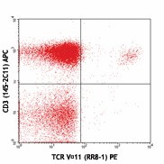 PE anti-mouse TCR Vα11.1, 11.2 Antibody (139903)
