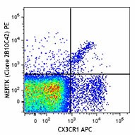 PE anti-mouse MERTK (Mer) Antibody (151505)