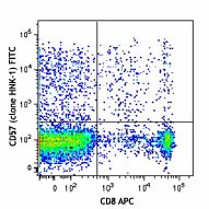 FITC anti-human CD57 Antibody (359603)