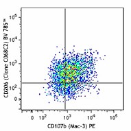 Brilliant Violet 785™ anti-mouse CD206 (MMR) Antibody (141729)