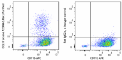 Purified anti-mouse CCL17 (TARC) Recombinant Antibody (167302)
