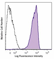 PE/Cyanine7 anti-mouse CD155 (PVR) Antibody (131511)