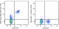 APC/Fire™ 750 anti-human CD40 Antibody (313021)