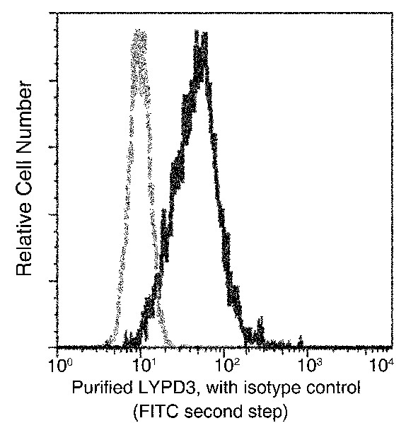 Recombinant C4.4A/LYPD3 Monoclonal Antibody (AN300244P)