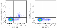 Brilliant Violet 421™ anti-mouse Perforin Antibody (154319)
