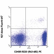 Alexa Fluor® 647 anti-mouse CD317 (BST2, PDCA-1) Antibody (127014)