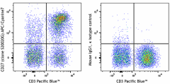 APC/Cyanine7 anti-human CD27 Antibody (384911)