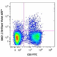 Brilliant Violet 605™ anti-mouse IFN-γ Antibody (505839)