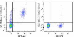 Purified anti-human HLA-DR Antibody (307602)
