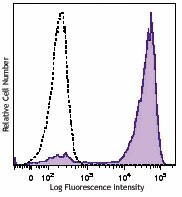 Brilliant Violet 570™ anti-mouse Ly-6G/Ly-6C (Gr-1) Antibody (108431)