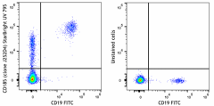 StarBright UltraViolet 795 anti-human CD185 (CXCR5) Antibody (356969)