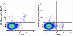 PE anti-human CD133 Antibody (397903)
