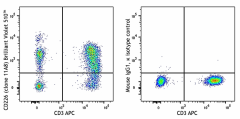 Brilliant Violet 510™ anti-human CD226 (DNAM-1) Antibody (338329)