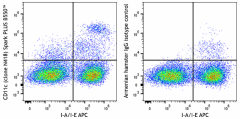 Spark PLUS B550™ anti-mouse CD11c Antibody (117381)