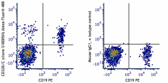 Alexa Fluor® 488 anti-human CD32B/C Antibody (398319)