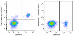 FITC anti-human CD40 Recombinant Antibody (325809)