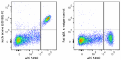 PE anti-mouse CD136 (Mst1r) Antibody (112403)