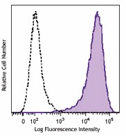 PE/Cyanine7 anti-human CD90 (Thy1) Antibody (328123)