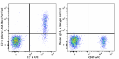 Purified anti-human CD1c Recombinant Antibody (331555)