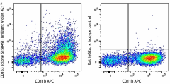 Brilliant Violet 421™ anti-mouse CD163 Antibody (155309)