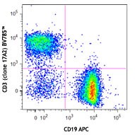 Brilliant Violet 785™ anti-mouse CD3 Antibody (100231)