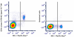 Spark YG™ 581 anti-mouse CD16 Antibody (158018)