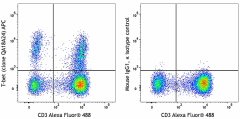 APC anti-human T-bet Recombinant Antibody (365905)