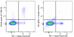 PE anti-mouse CD146 Antibody (168403)