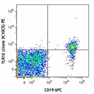 PE anti-human CD290 (TLR10) Antibody (354603)