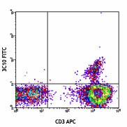 FITC anti-human TCR Vα7.2 Antibody (351703)
