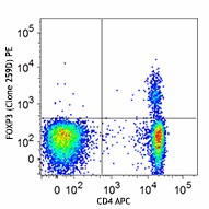 PE anti-human FOXP3 Antibody (320207)
