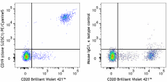 PE/Cyanine5 anti-human CD19 Antibody (363041)