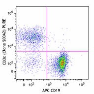 Purified anti-mouse CD3ε Antibody (152302)