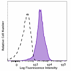 PE anti-RPS6 Phospho (Ser244) Antibody (935703)