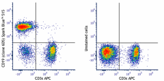 Spark Blue™ 515 anti-mouse CD19 Antibody (115583)