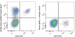 Pacific Blue™ anti-human CD196 (CCR6) Antibody (353438)