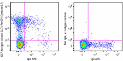 PerCP/Cyanine5.5 anti-mouse/human GL7 Antigen (T and B cell Activation Marker) Antibody (144609)