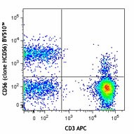 Brilliant Violet 510™ anti-human CD56 (NCAM) Antibody (318339)