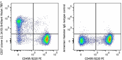 Brilliant Violet 785™ anti-mouse/rat/human CD27 Antibody (124241)