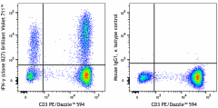 Brilliant Violet 711™ anti-human IFN-γ Antibody (506547)